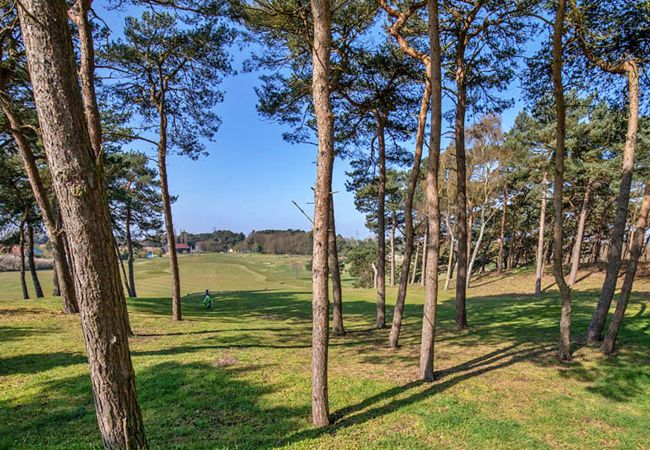 Chalet in Fritton - Puddleduck Chalet in Fritton - Puddleduck
