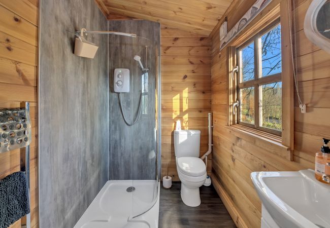 Chalet in Bury St Edmunds - Woodland Lodge Chalet in Bury St Edmunds - Woodland Lodge