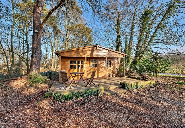 Villa in Bury St Edmunds - Woodland Lodge