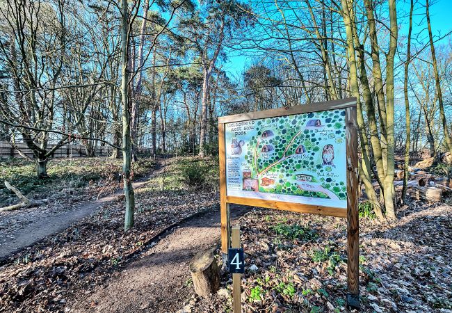 Chalet in Bury St Edmunds - Woodland Lodge Chalet in Bury St Edmunds - Woodland Lodge