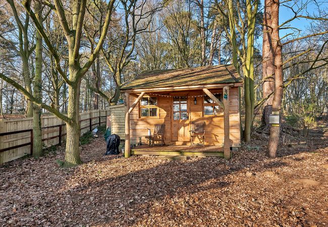 Chalet in Bury St Edmunds - Cedar Lodge Chalet in Bury St Edmunds - Cedar Lodge