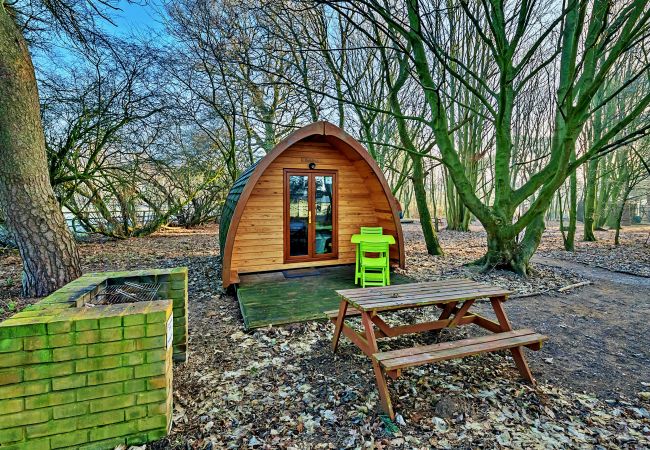 Chalet in Bury St Edmunds - Aelfred Pod Chalet in Bury St Edmunds - Aelfred Pod