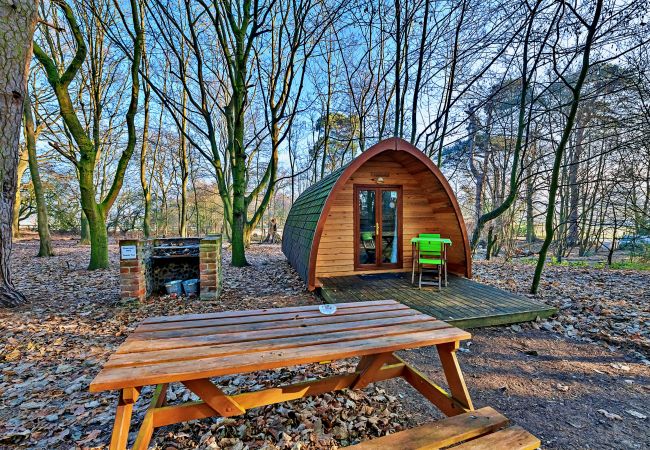 Chalet in Bury St Edmunds - Boudicca Pod Chalet in Bury St Edmunds - Boudicca Pod