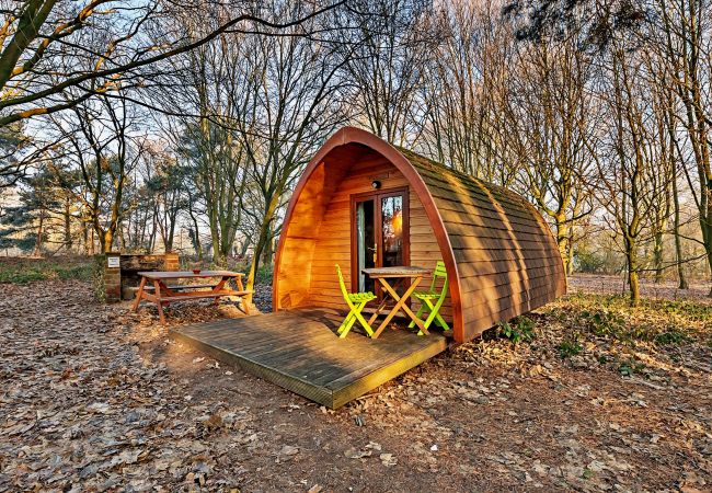 Chalet in Bury St Edmunds - Eadmund Pod Chalet in Bury St Edmunds - Eadmund Pod