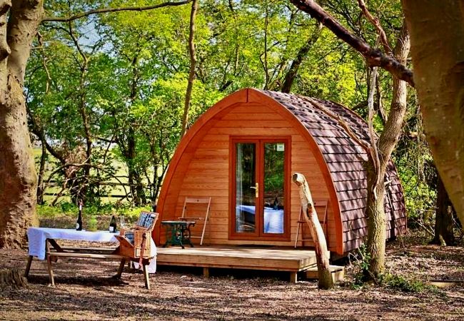 Chalet in Bury St Edmunds - Eadmund Pod