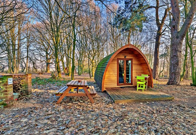 Chalet in Bury St Edmunds - Wulfrun Pod Chalet in Bury St Edmunds - Wulfrun Pod