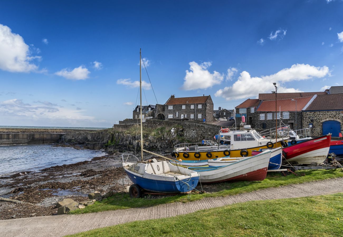 House in Craster - Harbour House