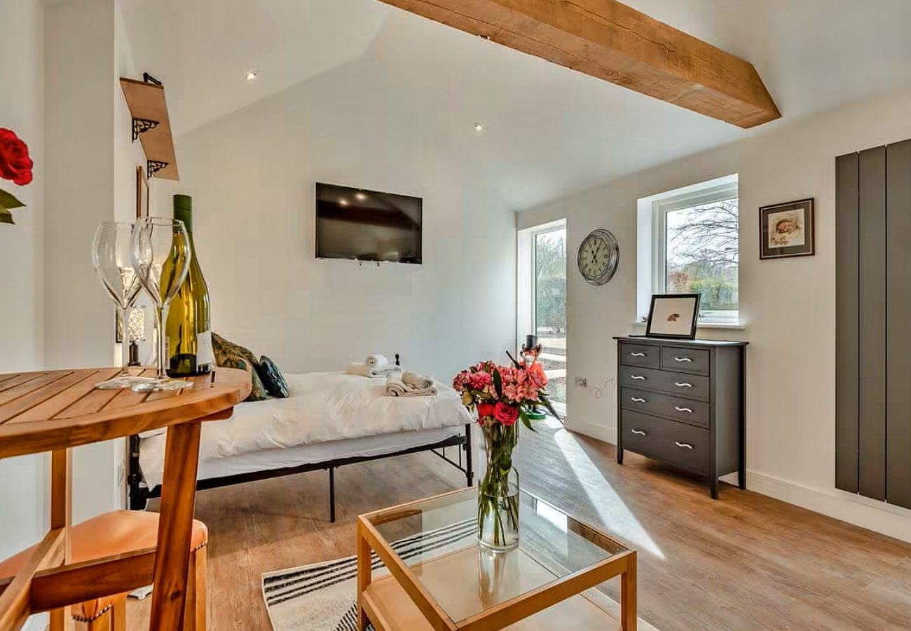 House in Stamford - The Den