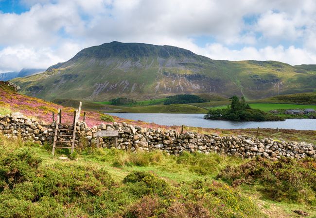 House in Dolgellau - Snowdonia Manor (Y Llwyn Manor) House in Dolgellau - Snowdonia Manor (Y Llwyn Manor)