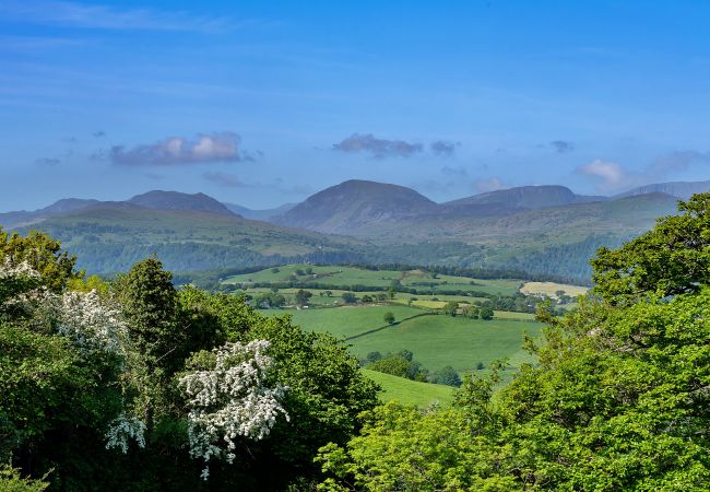 Cottage in Eglwysbach - Red Kites Retreat Cottage in Eglwysbach - Red Kites Retreat