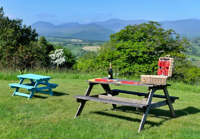 Cottage in Eglwysbach - Red Kites Retreat