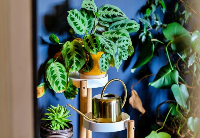 House in Cresswell - Cresswell House House in Cresswell - Cresswell House