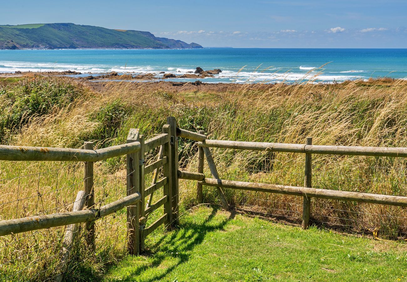 Cabin in Widemouth Bay - Driftwood