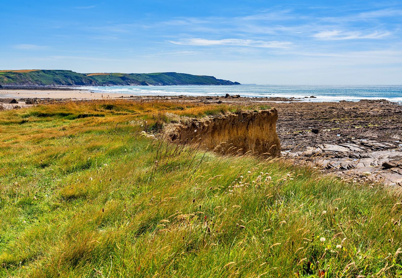 Cabin in Widemouth Bay - Driftwood