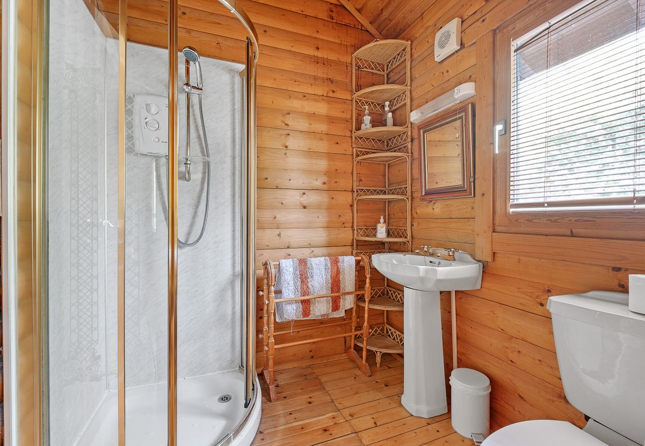 Cabin in Fort William - The Logs