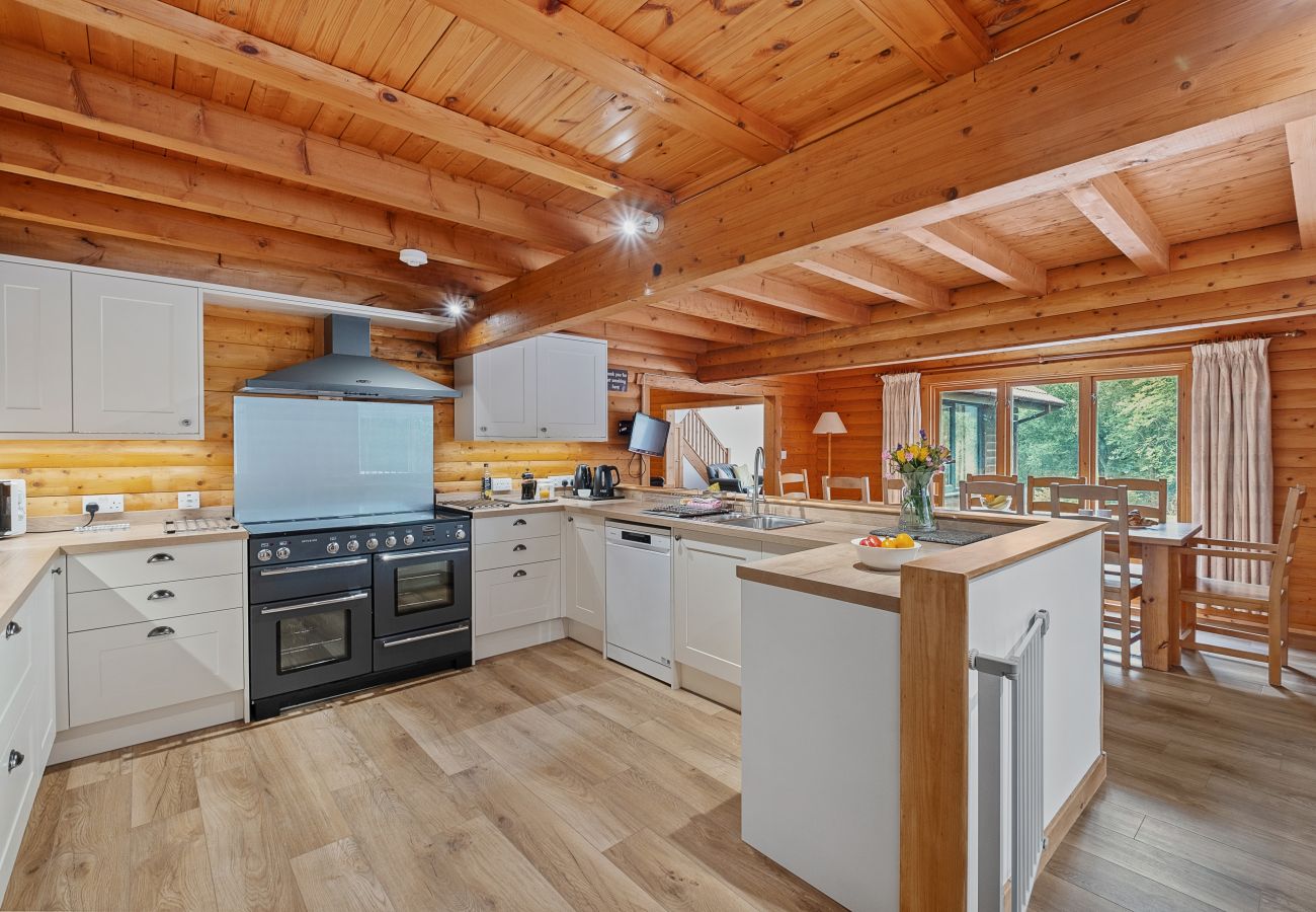 Cabin in Fort William - The Logs