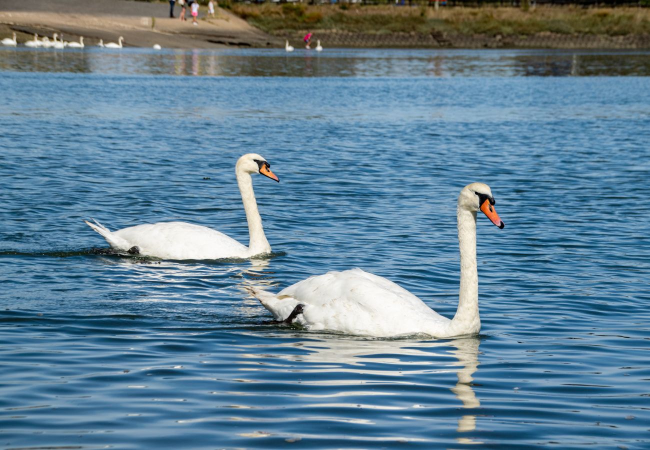 Apartment in Burnham-on-Crouch - Kings Wharf