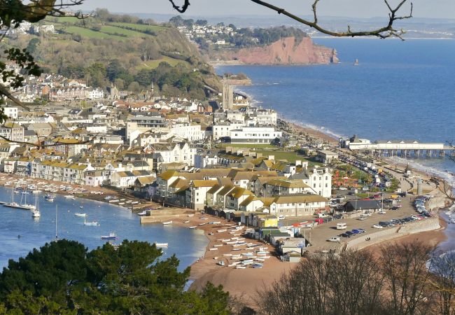 Cottage in Shaldon - The View