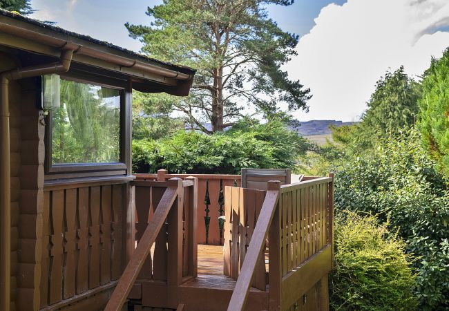 Cabin in Trawsfynydd - Mountain View