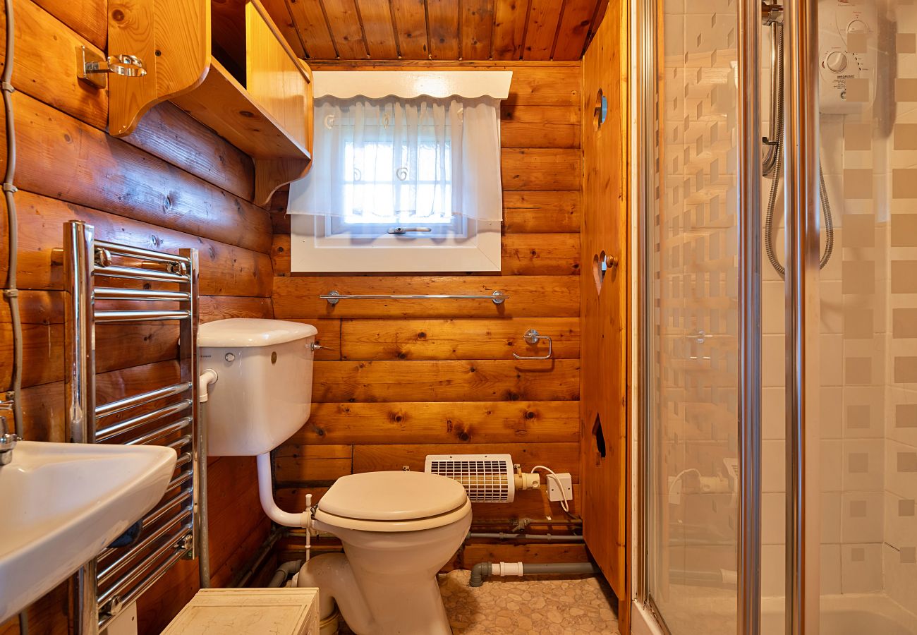 Cabin in Trawsfynydd - Mountain View