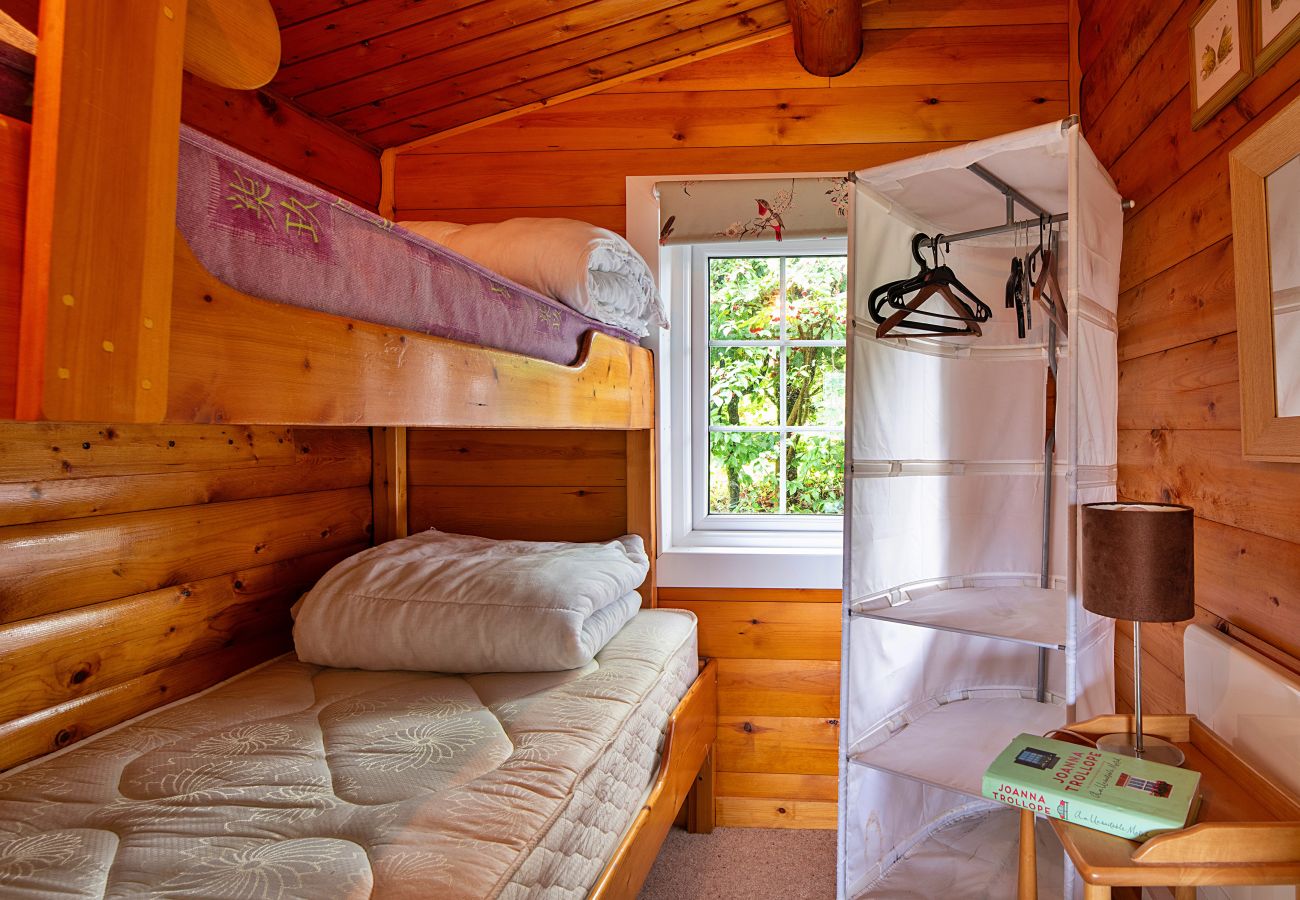 Cabin in Trawsfynydd - Mountain View