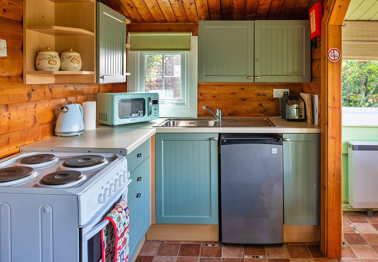 Cabin in Trawsfynydd - Mountain View