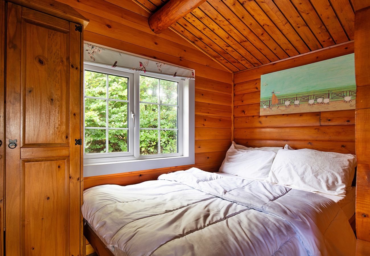 Cabin in Trawsfynydd - Mountain View