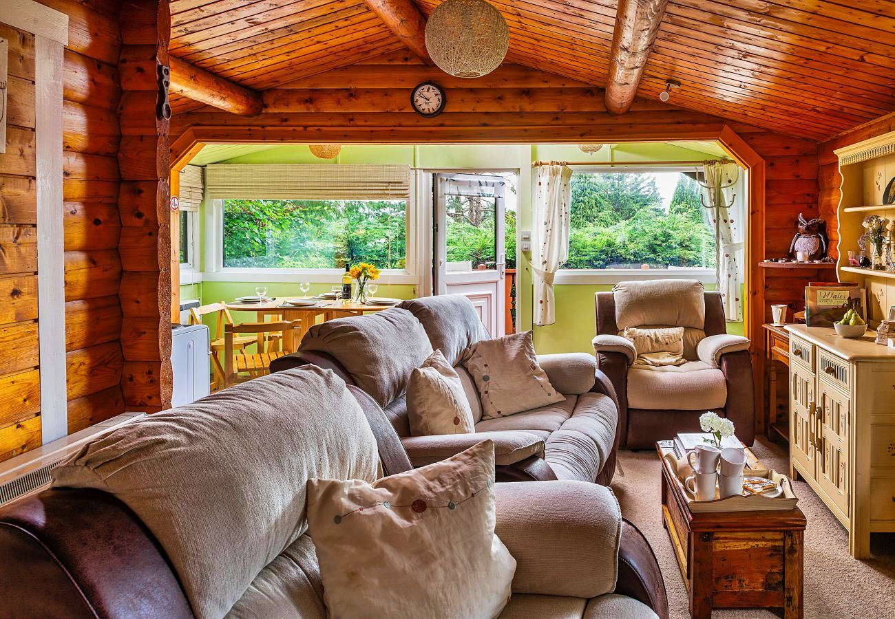 Cabin in Trawsfynydd - Mountain View