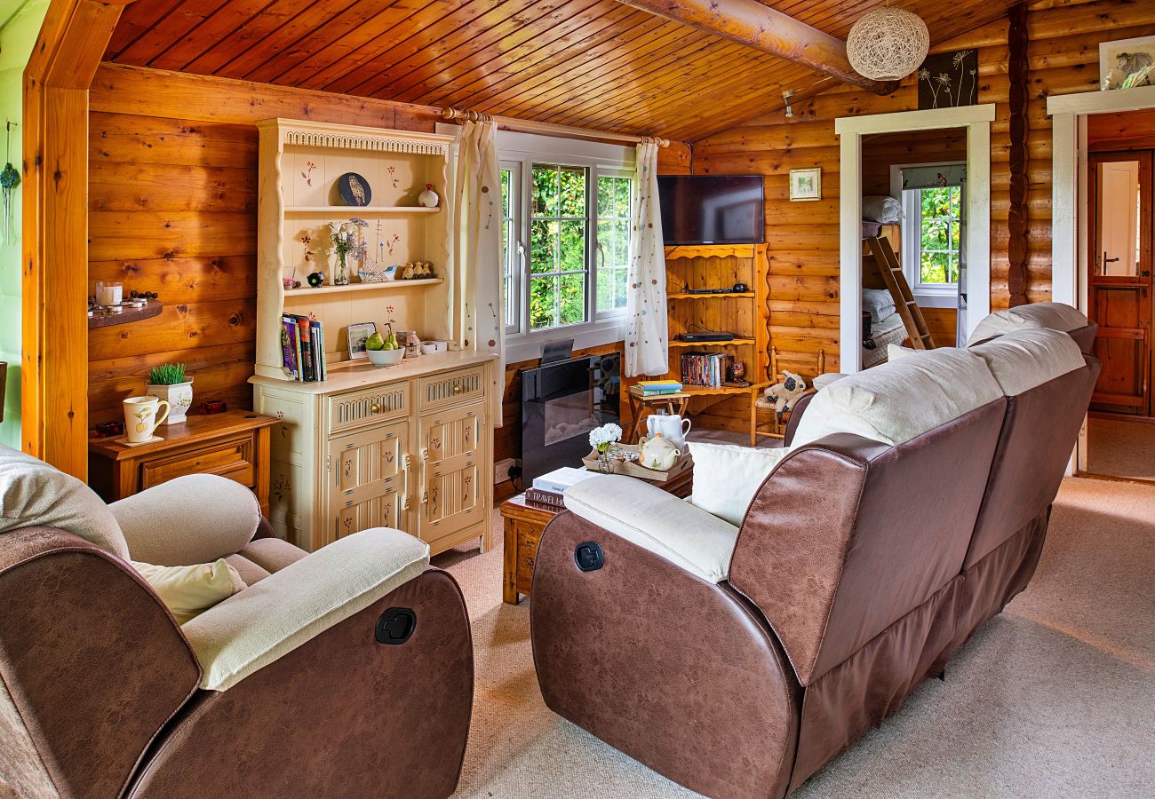 Cabin in Trawsfynydd - Mountain View
