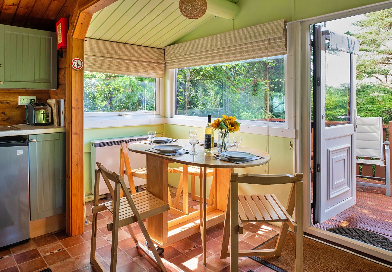 Cabin in Trawsfynydd - Mountain View