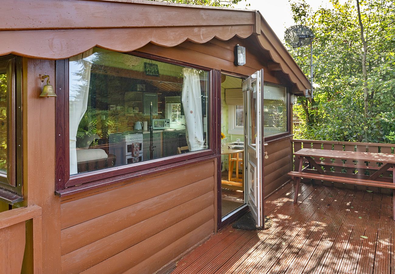 Cabin in Trawsfynydd - Mountain View