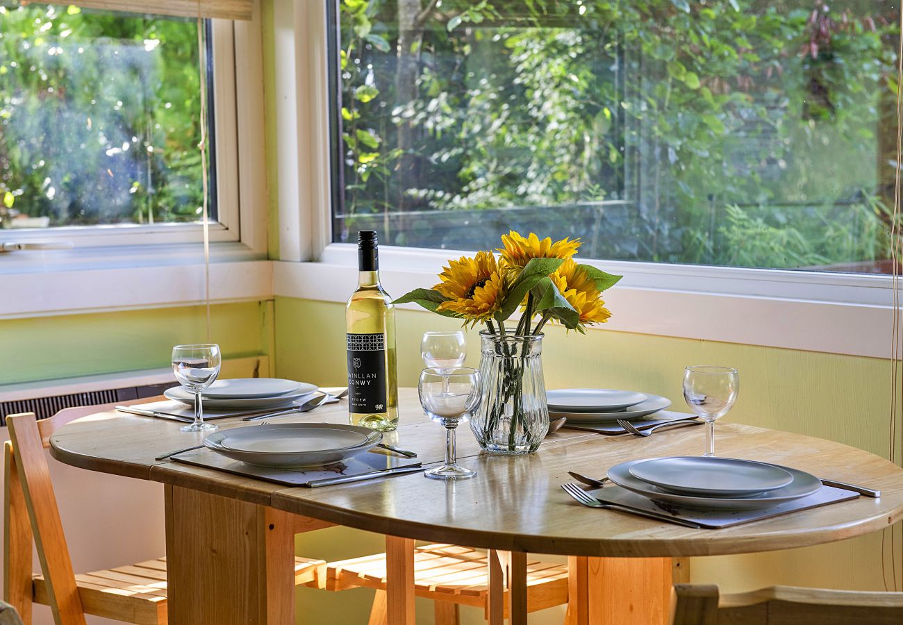 Cabin in Trawsfynydd - Mountain View