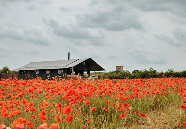 Chalet in Walsingham - Foxley Lodge Chalet in Walsingham - Foxley Lodge