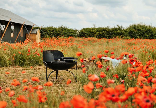 Chalet in Walsingham - Foxley Lodge Chalet in Walsingham - Foxley Lodge