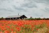 Chalet in Walsingham - Foxley Lodge Chalet in Walsingham - Foxley Lodge