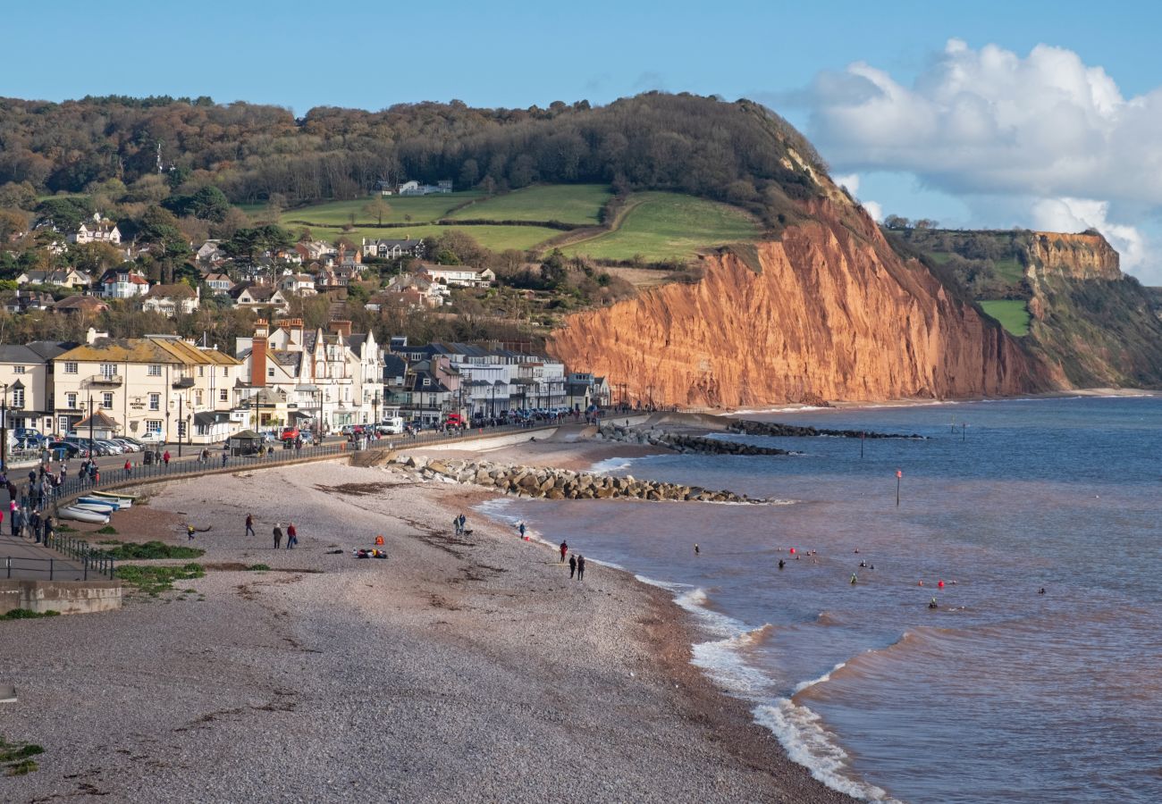 House in Sidmouth - Sussex House