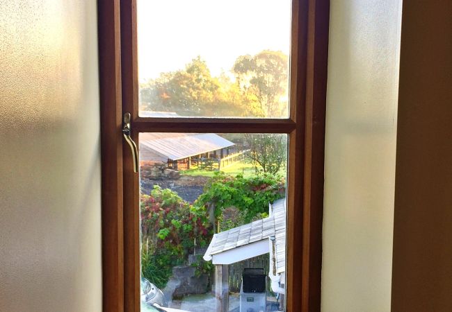 Cottage in Bovey Tracey - Little Dunley - Virginia Cottage Cottage in Bovey Tracey - Little Dunley - Virginia Cottage