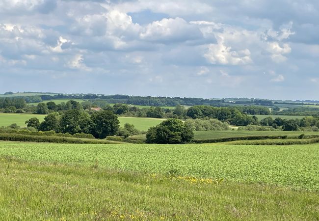 Cabin in Banbury - The Cornflower