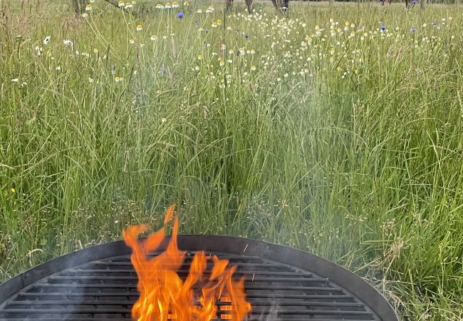 Cabin in Banbury - The Cornflower Cabin in Banbury - The Cornflower