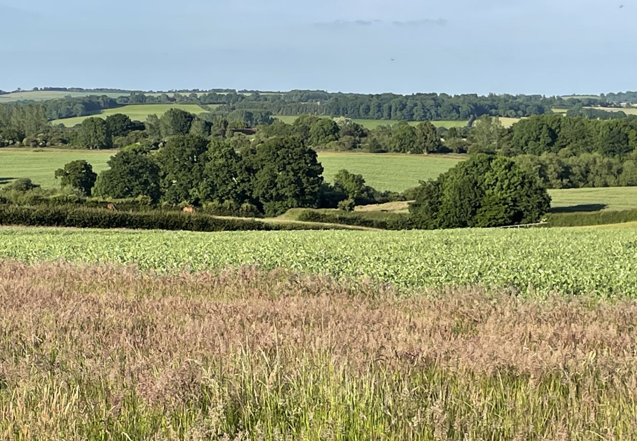 Cabin in Banbury - The Cornflower