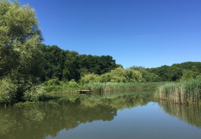 House in Bratton Seymour - New Park Farm House in Bratton Seymour - New Park Farm