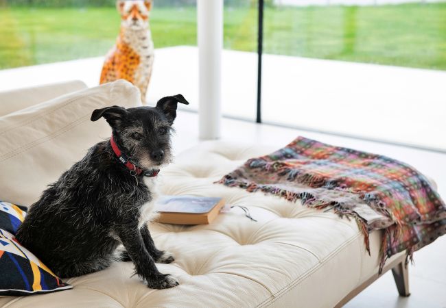 House in Criccieth - Cefn Castell House in Criccieth - Cefn Castell