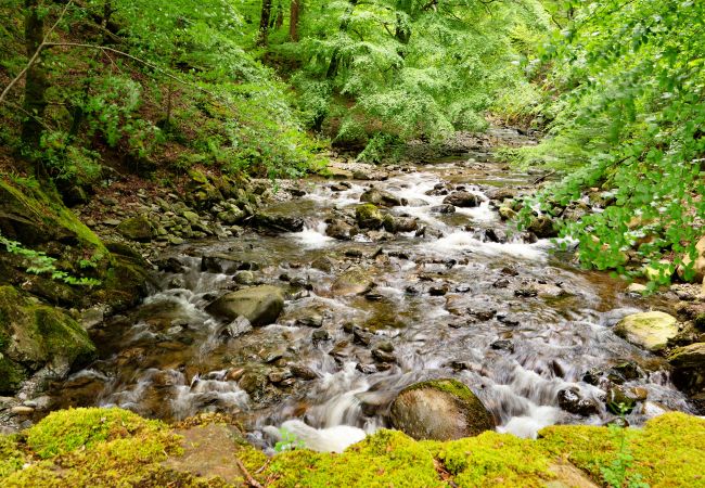Cottage in Dolgellau - Hermon Bach Cottage in Dolgellau - Hermon Bach