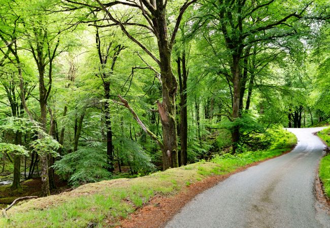Cottage in Dolgellau - Hermon Bach Cottage in Dolgellau - Hermon Bach