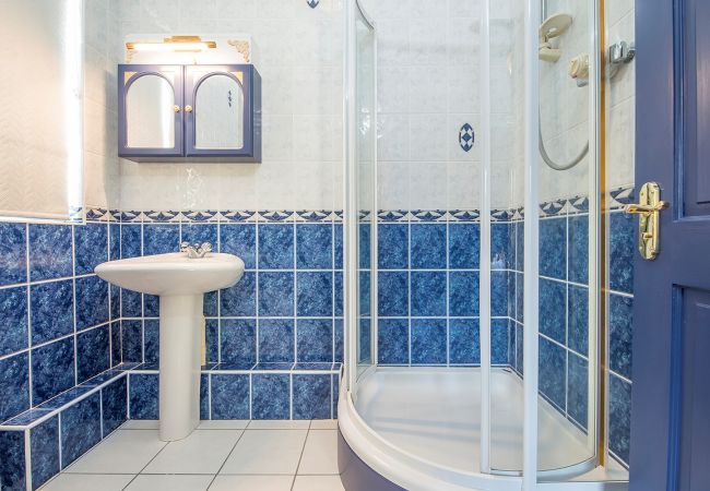 House in Llangunnor - Ty Penbryn House in Llangunnor - Ty Penbryn