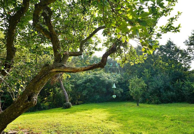 Cottage in Porthcothan Bay - Porthcothan Mill Cottage Cottage in Porthcothan Bay - Porthcothan Mill Cottage