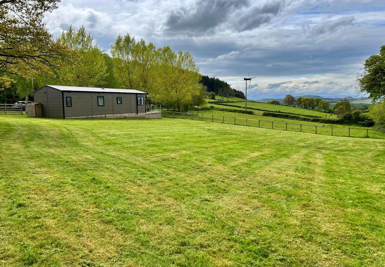Cabin in Hereford - Windmill View