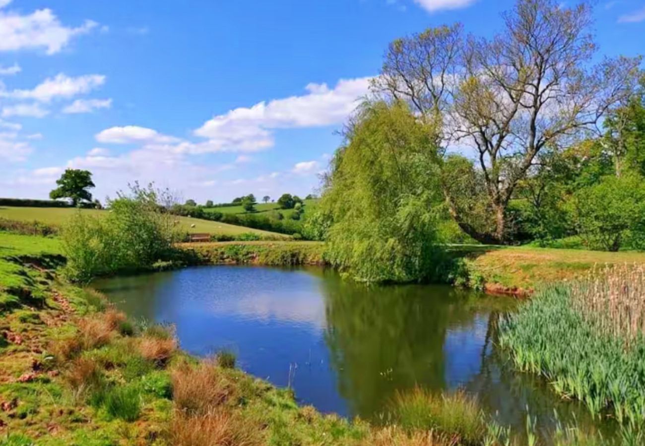 Cabin in Hereford - Windmill View
