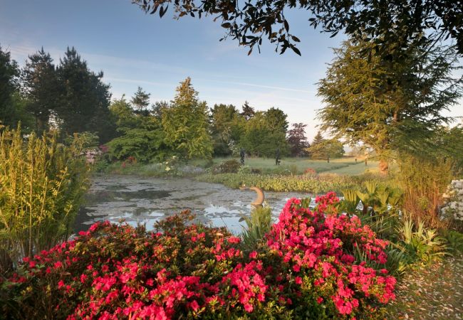 Cottage in Kingham - Ryeworth Cottage Cottage in Kingham - Ryeworth Cottage