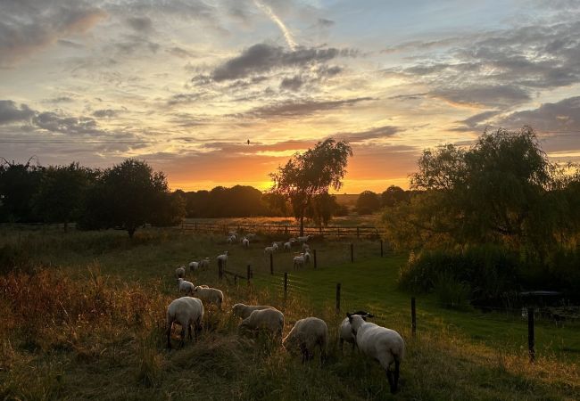 Cottage in Hemingby - The Rookery Stables Cottage in Hemingby - The Rookery Stables